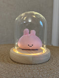 Night Lamp